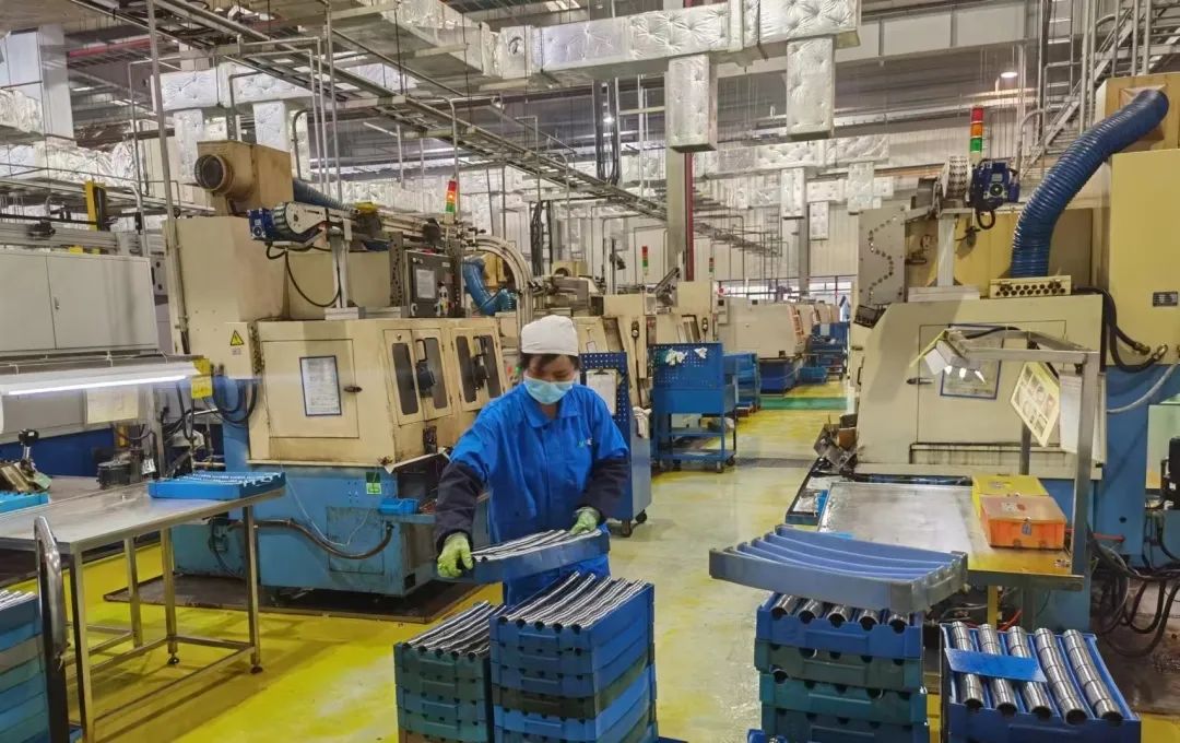 743bc335d2a546dbae4760fcf4d644e0.Jpeg 743bc335d2a546dbae4760fcf4d644e0.Jpeg