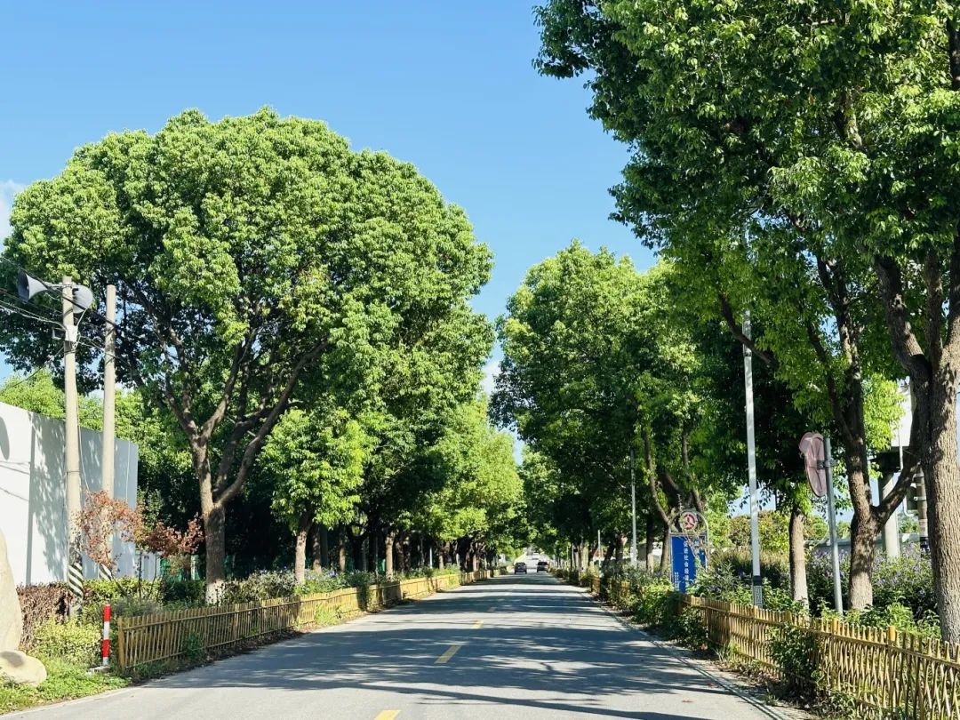 微信图片_20250418161935.jpg