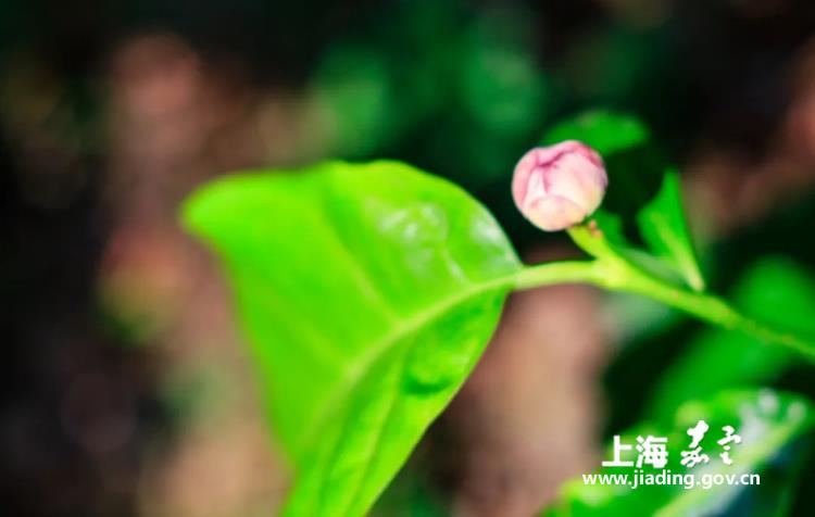 07ecb78e8f244a29a44f9ba2a4321679.jpg 07ecb78e8f244a29a44f9ba2a4321679.jpg