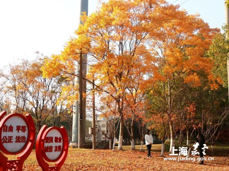 1cf6197fdd1041f1af65fdf26caa54c7.jpg