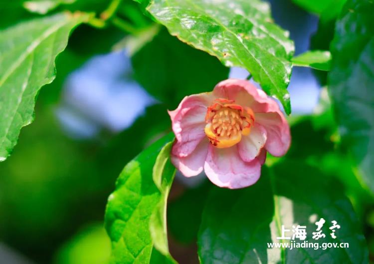 30dd93a502ed4da6a0c6724a163001ab.jpg 30dd93a502ed4da6a0c6724a163001ab.jpg