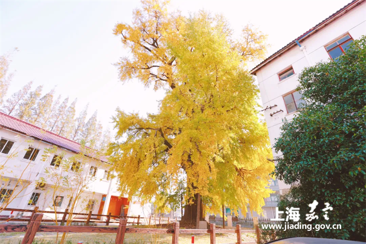 623e9e01ceb54d63acd8ae5479a86957.png