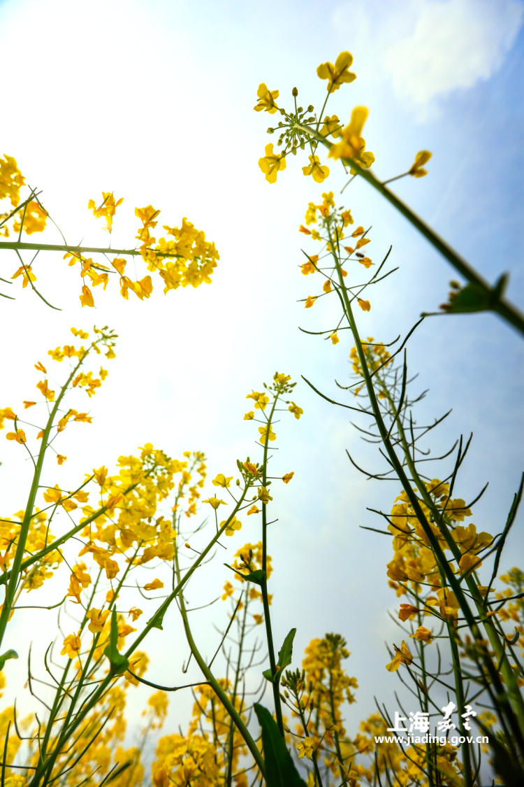 682a63819fd84495ab8c67a5b55bee88.png