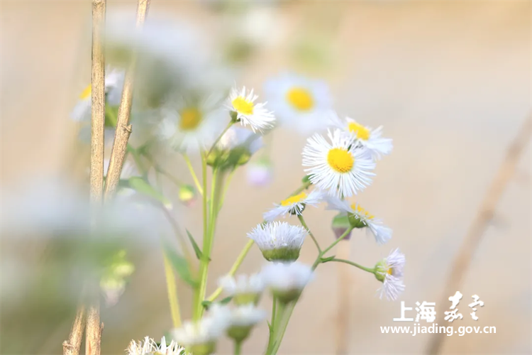 6d960bee01004f47a90ebed8db460041.png