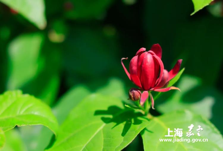 7e4e8a4b28a4485789387074991ad38b.jpg 7e4e8a4b28a4485789387074991ad38b.jpg