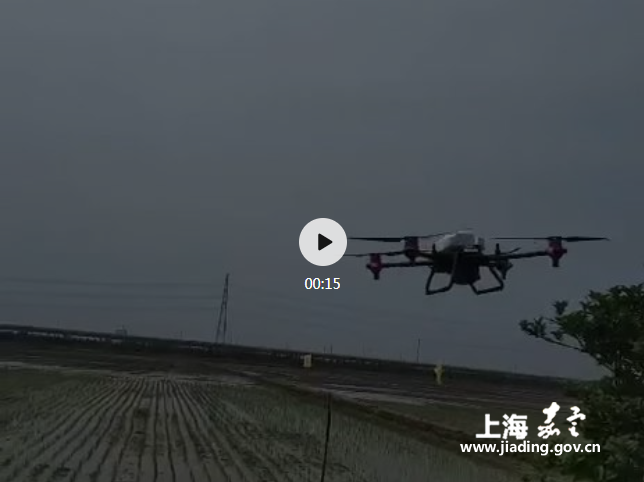 a7a5fc7680fe4461b02489634f4c861d.png a7a5fc7680fe4461b02489634f4c861d.png