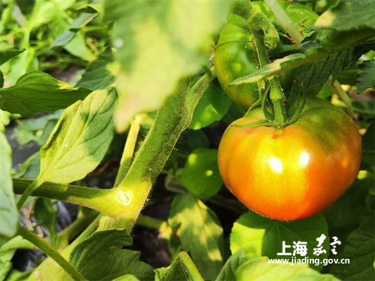 c8f14085c7a74b159d08dff16ea04d1b.png