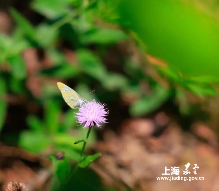 cbdc3745da5e48a5aaf9da2f56ec4e80.jpg cbdc3745da5e48a5aaf9da2f56ec4e80.jpg