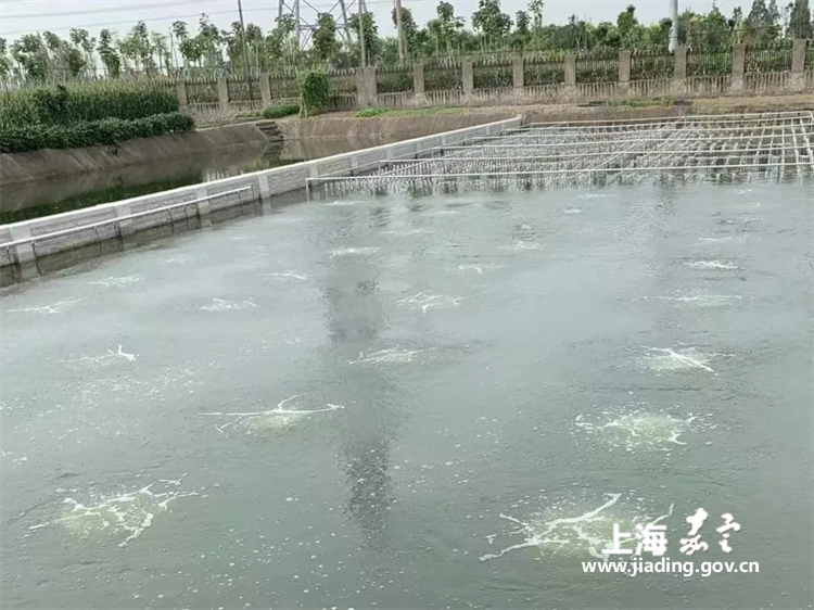 d379673e9b2c4a86aac04878cbd97a35.png