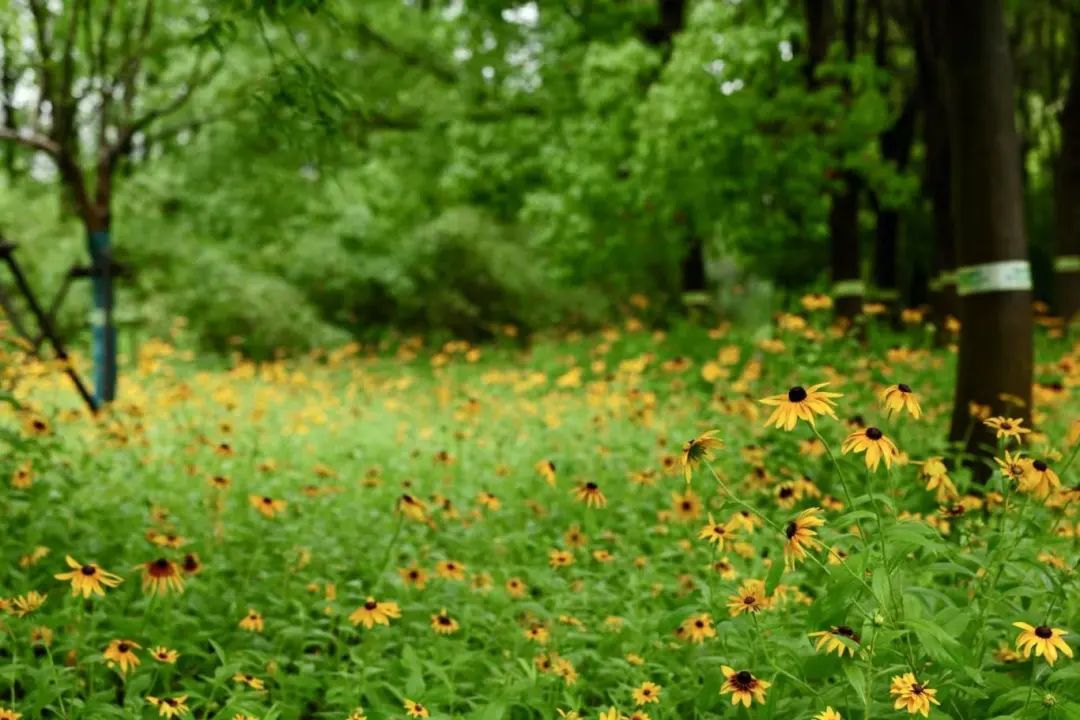 80698d09a209334ad670e6c4ac70f1e.jpg