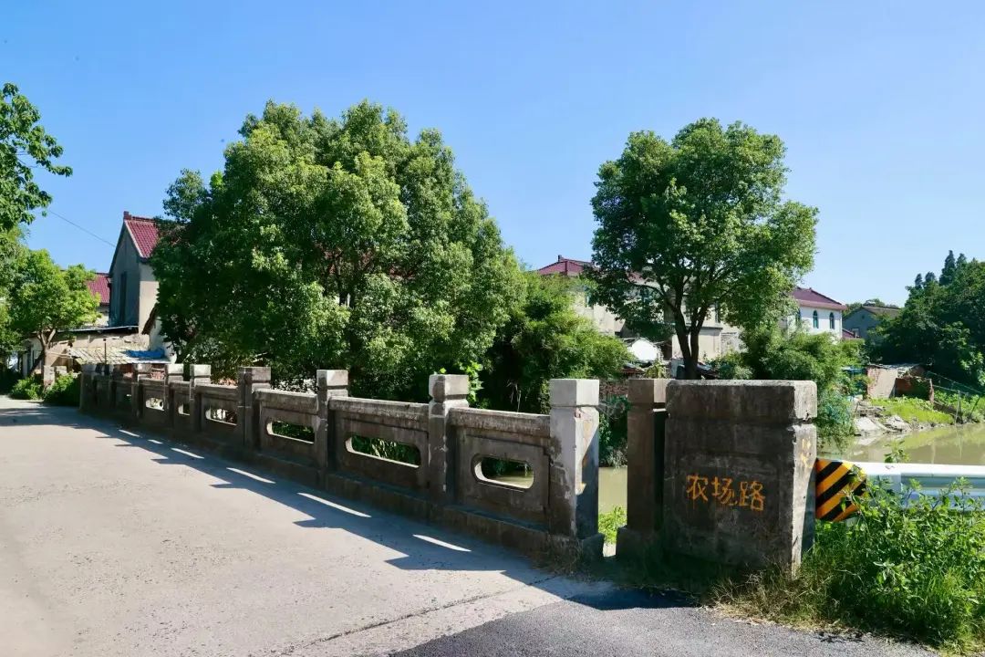 你说我改，家门口的公共空间焕新啦~  
