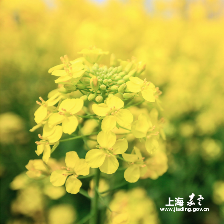 df22cc6a187344f78339a7e7864eaa69.png