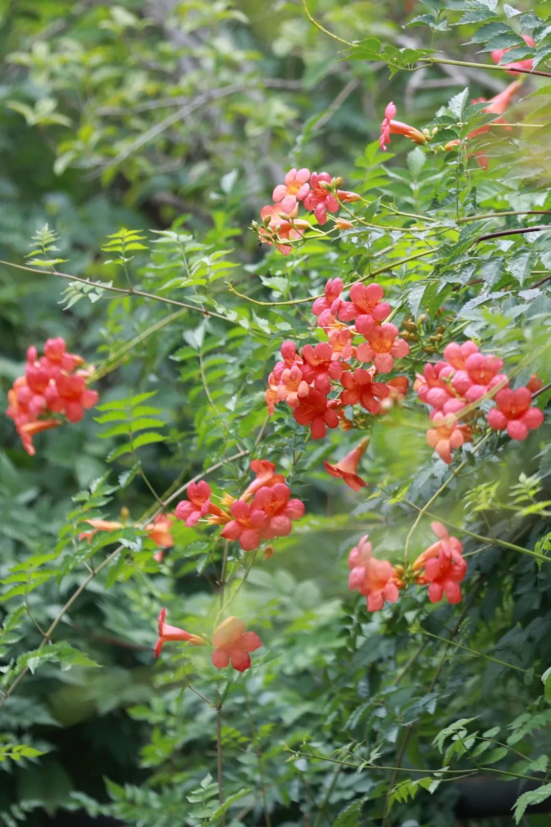 AB3I8893.JPG
