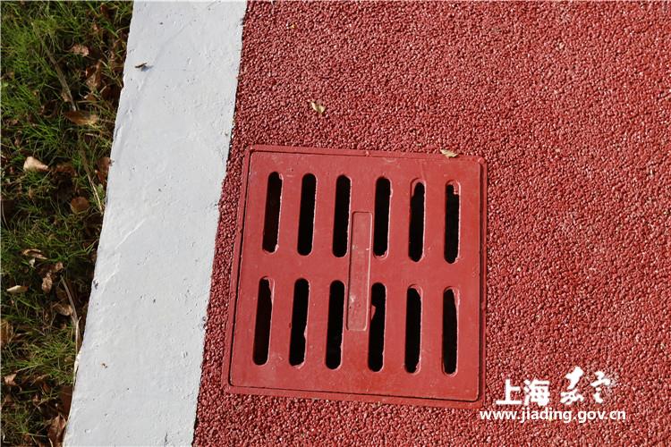 ea75507532e846feb46dd61272be69de.JPG