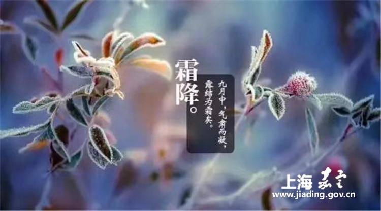 fb2ab5ecb8c34e3eaad47914b080c681.jpg